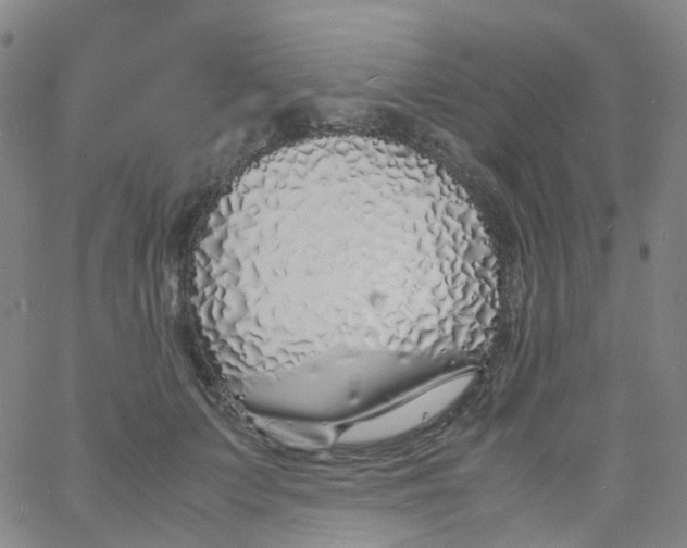 X0000060770703200512082034