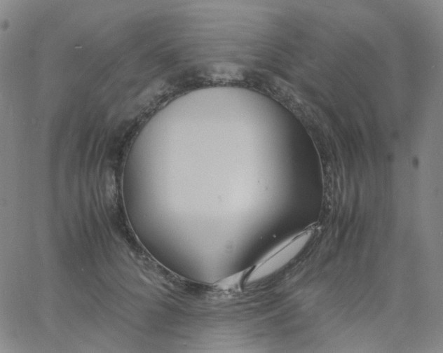 X0000060770704200512082034