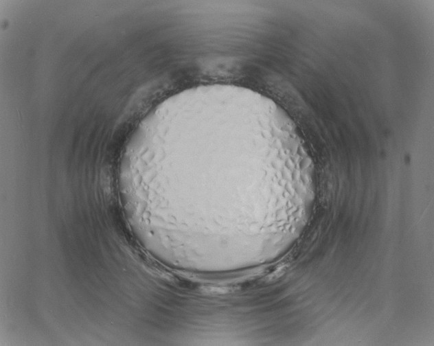 X0000060770706200512082034