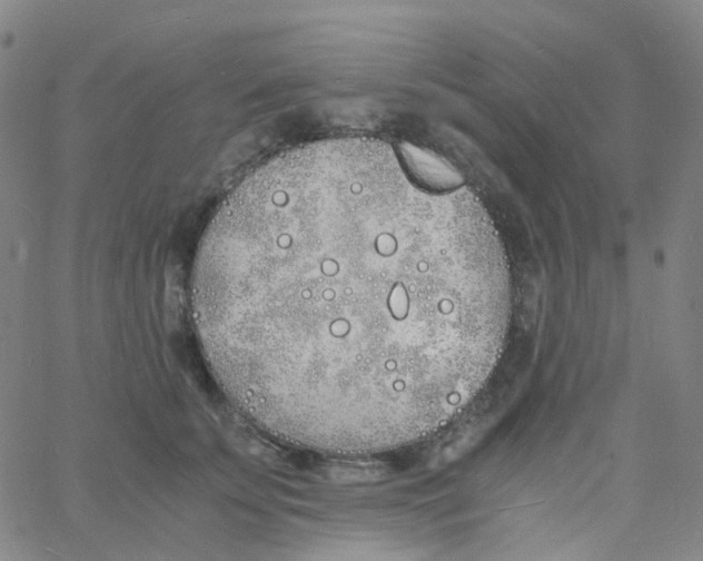 X0000060770707200512082034