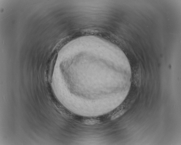 X0000060770708200512082033