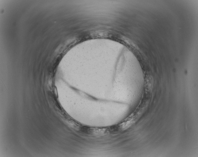 X0000060770709200512082033