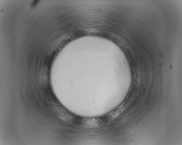 X0000060770710200512082033