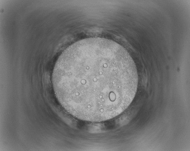 X0000060770711200512082033