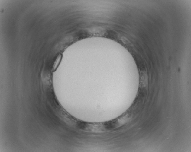 X0000060770713200512082033