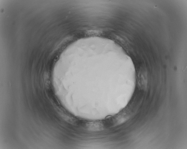 X0000060770714200512082033