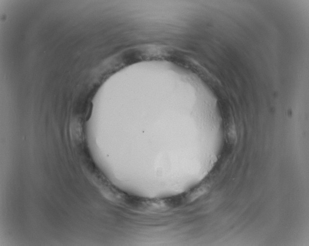 X0000060770715200512082033