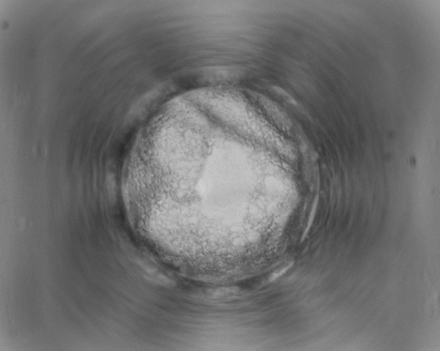 X0000060770716200512082033