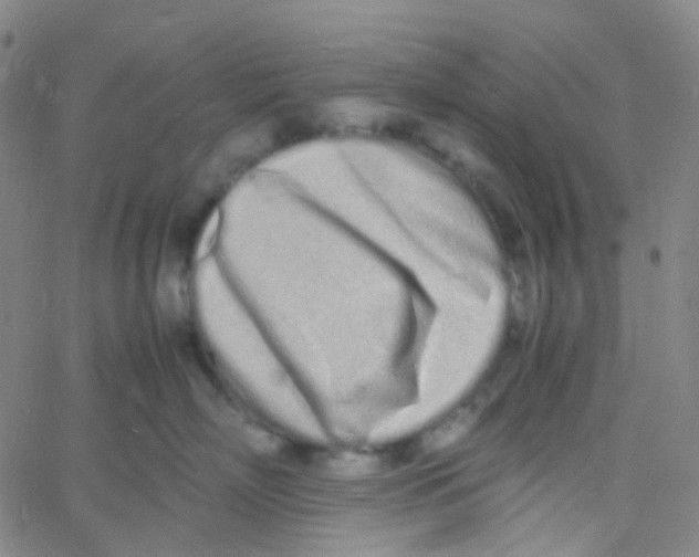 X0000060770718200512082033