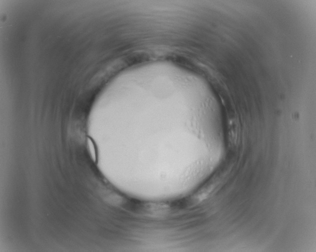 X0000060770719200512082033