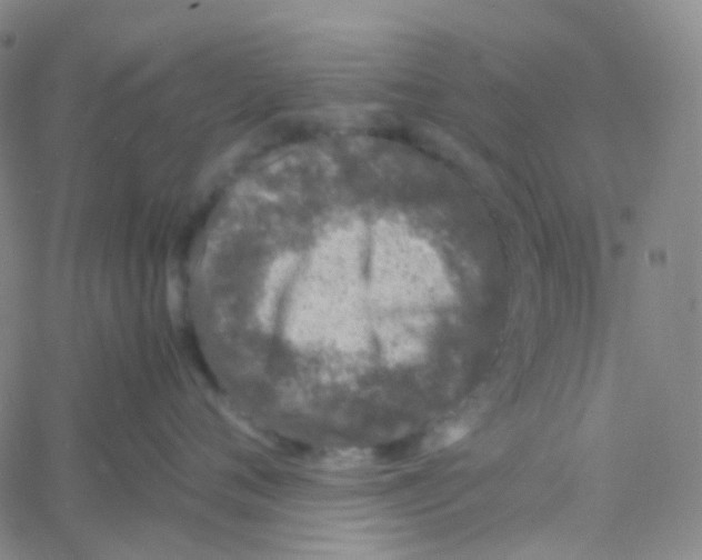 X0000060770720200512082033