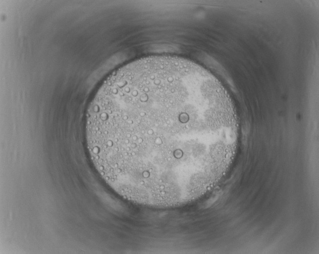 X0000060770721200512082033