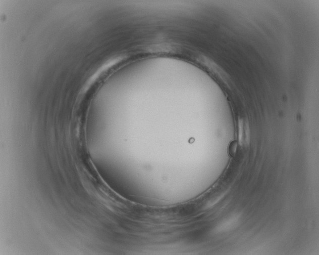 X0000060770723200512082033