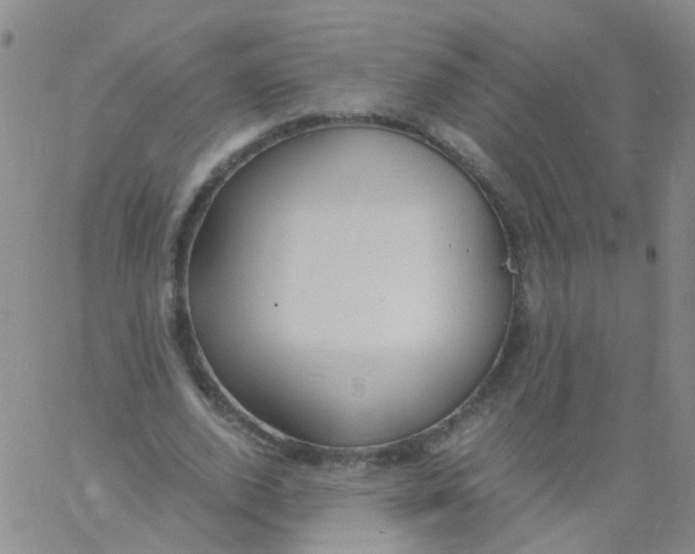 X0000060770728200512082033