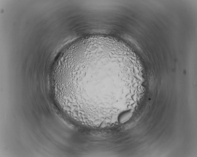 X0000060770729200512082033