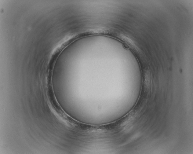 X0000060770730200512082033