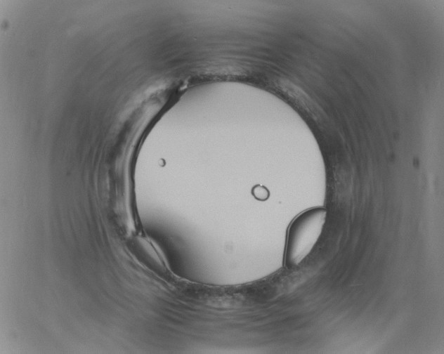 X0000060770731200512082033