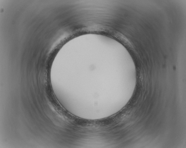 X0000060770732200512082033