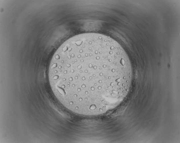 X0000060770733200512082033