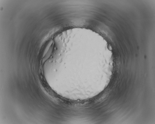 X0000060770734200512082033