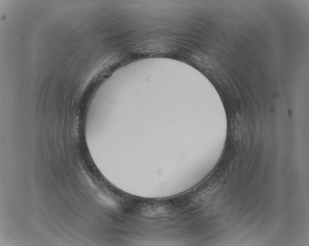 X0000060770735200512082033