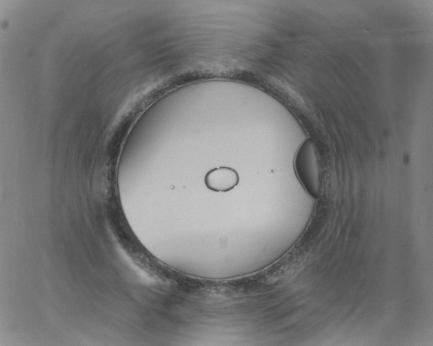 X0000060770736200512082033