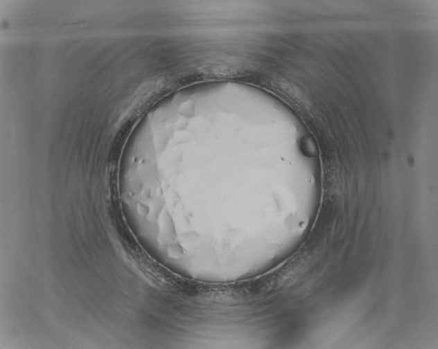 X0000060770738200512082033