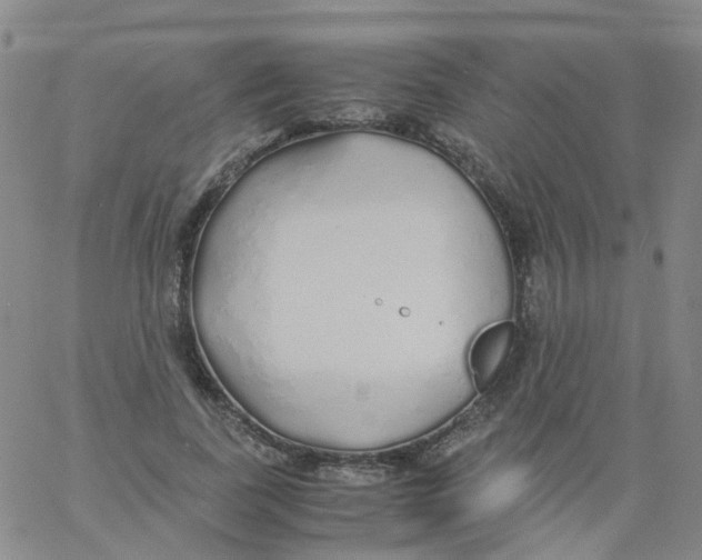 X0000060770739200512082033