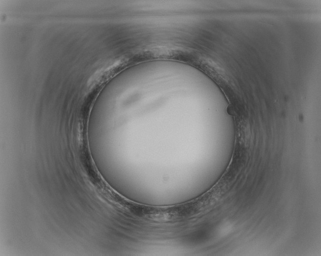 X0000060770740200512082033