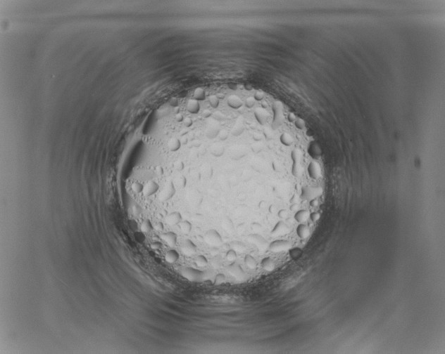 X0000060770741200512082033