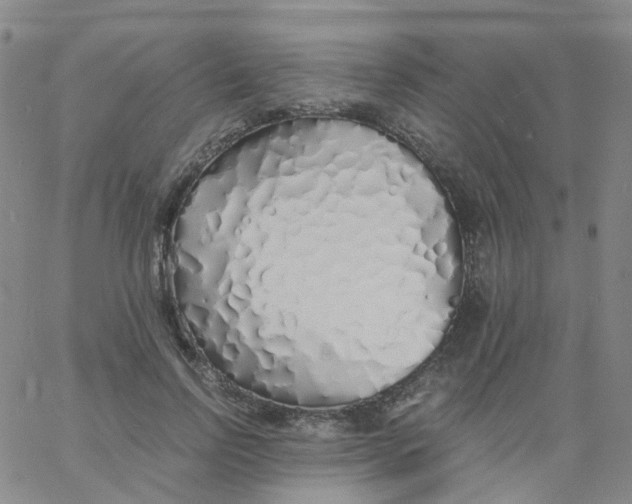 X0000060770742200512082033