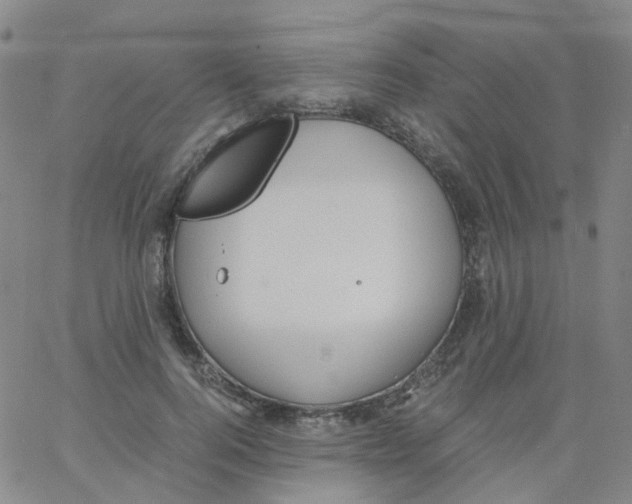 X0000060770744200512082033