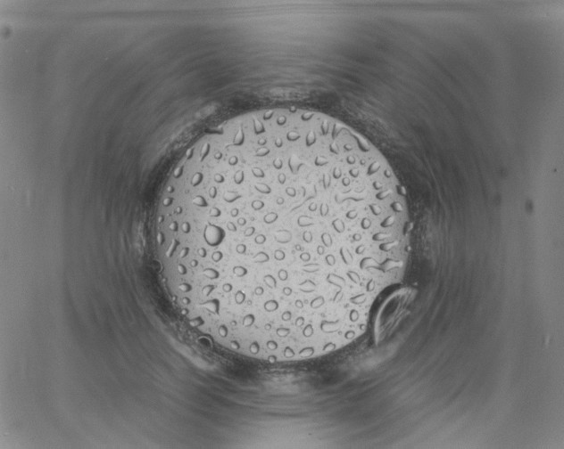 X0000060770746200512082033