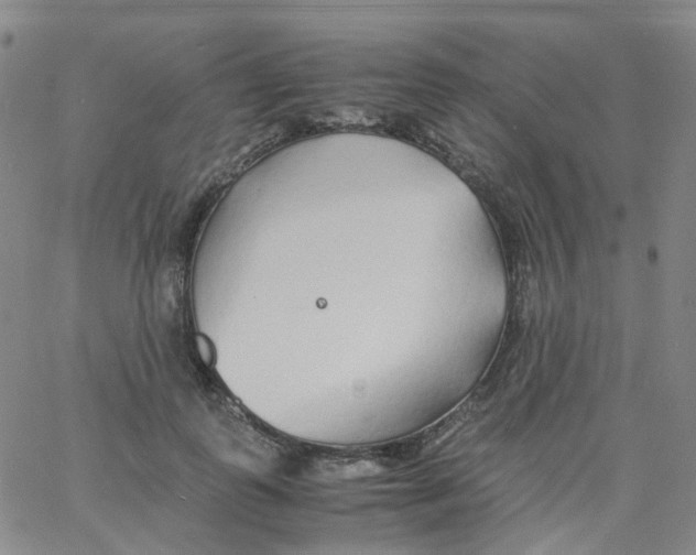 X0000060770747200512082033