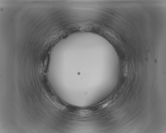 X0000060770748200512082033