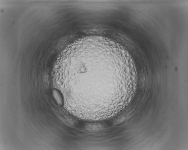 X0000060770749200512082033