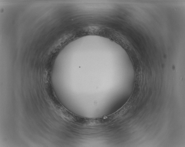 X0000060770750200512082033