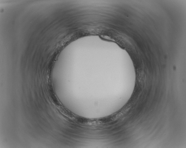 X0000060770752200512082033