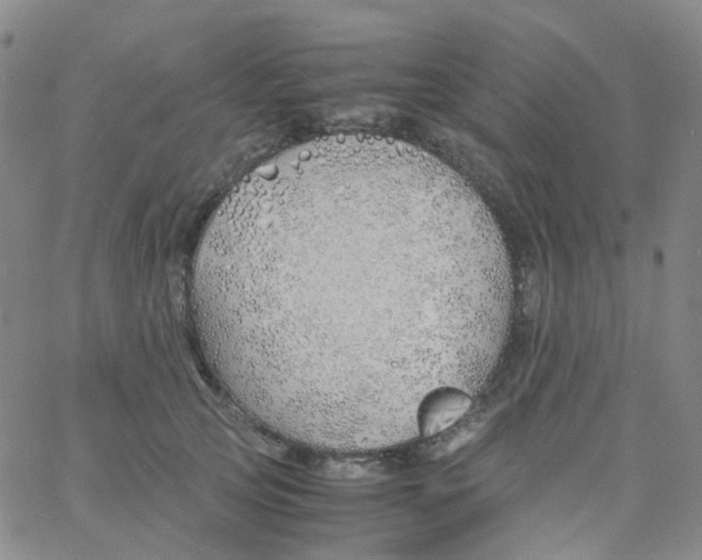 X0000060770753200512082033