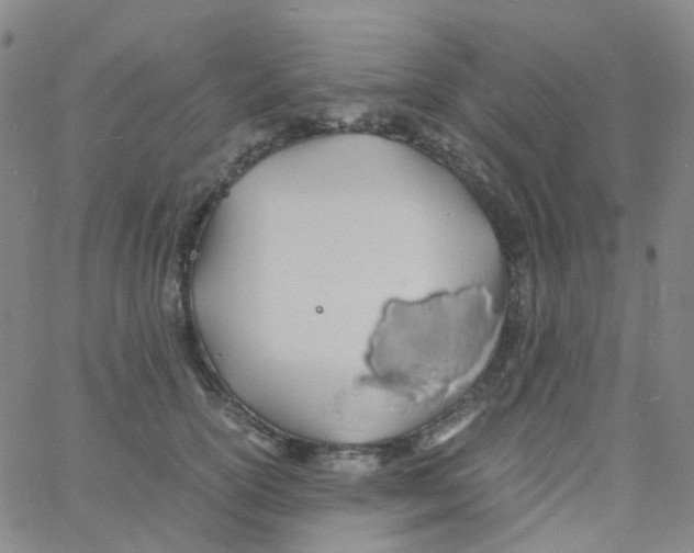 X0000060770754200512082033