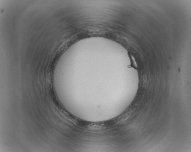 X0000060770756200512082033