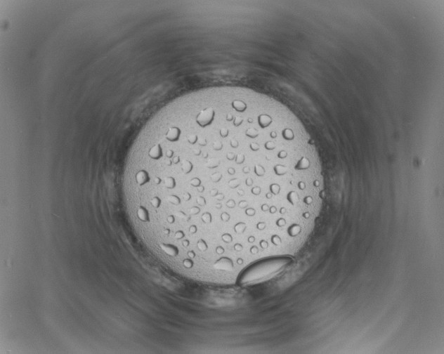 X0000060770757200512082033