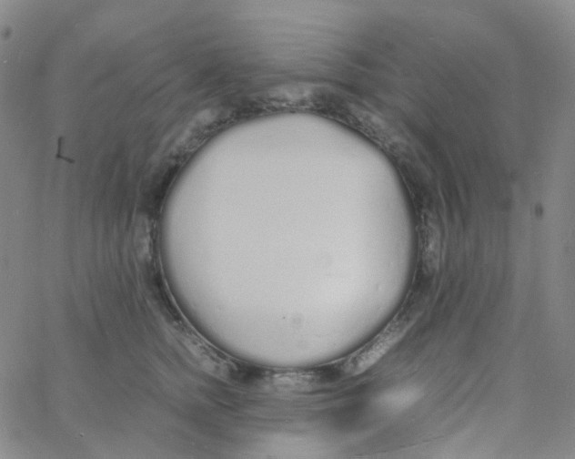 X0000060770758200512082033