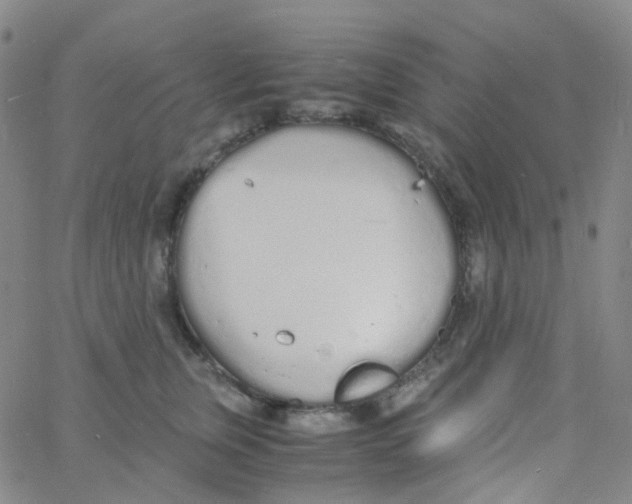 X0000060770759200512082033