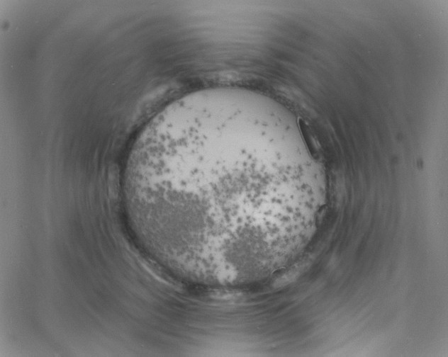 X0000060770760200512082033