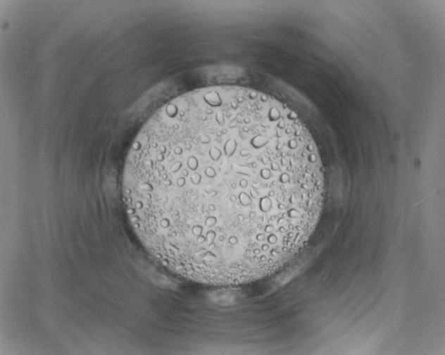 X0000060770761200512082033