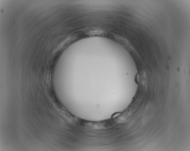 X0000060770763200512082033