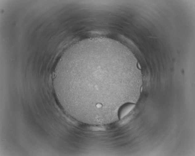 X0000060770765200512082033