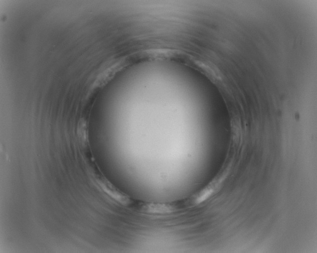 X0000060770766200512082033