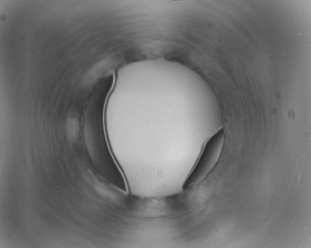 X0000060770768200512082033